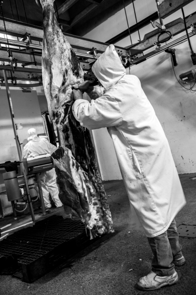 2014 02 19 Abattoir LuxeuilIMG 8692